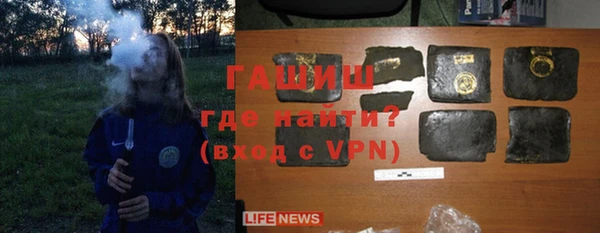 ГАЛЛЮЦИНОГЕННЫЕ ГРИБЫ Дмитриев