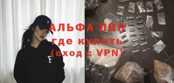 ГАЛЛЮЦИНОГЕННЫЕ ГРИБЫ Дмитриев