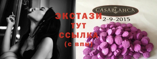 ГАЛЛЮЦИНОГЕННЫЕ ГРИБЫ Дмитриев
