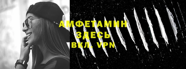 ГАЛЛЮЦИНОГЕННЫЕ ГРИБЫ Дмитриев