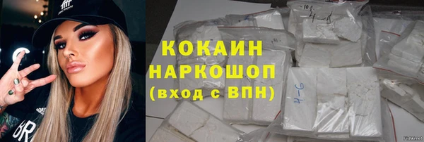 ГАЛЛЮЦИНОГЕННЫЕ ГРИБЫ Дмитриев