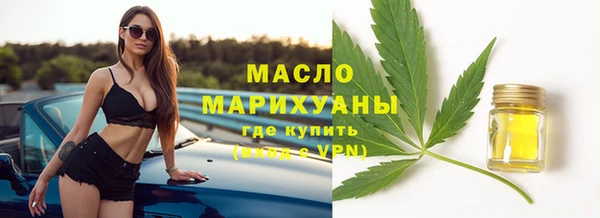ГАЛЛЮЦИНОГЕННЫЕ ГРИБЫ Дмитриев