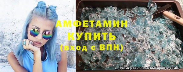ГАЛЛЮЦИНОГЕННЫЕ ГРИБЫ Дмитриев