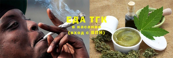 ГАЛЛЮЦИНОГЕННЫЕ ГРИБЫ Дмитриев