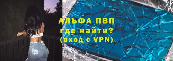ГАЛЛЮЦИНОГЕННЫЕ ГРИБЫ Дмитриев