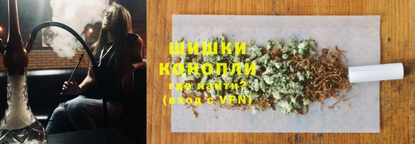 ГАЛЛЮЦИНОГЕННЫЕ ГРИБЫ Дмитриев