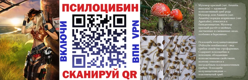 Купить  Улан-Удэ  Псилоцибиновые грибы мухоморы 